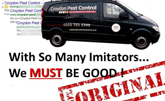 Croydon Pest Control